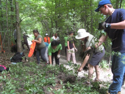 Volunteers clearing cut bushes